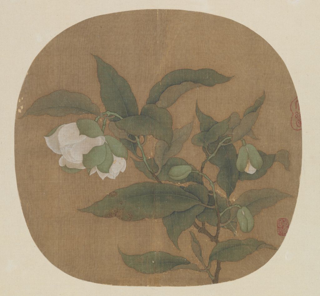 【夜合花图页】